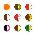 Fruit icon set flat design isolated on white background Royalty Free Stock Photo