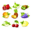 Fruit icon set. Vector Illustration Royalty Free Stock Photo