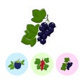 Fruit Icons, Blackcurrant ,Redcurrant , Blackberry