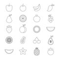 Fruit Icons Line Set Of Vector Illustration