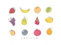 Fruit icons linear style color Royalty Free Stock Photo