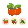 Fruit Icons, Persimmon , Lichee , Watermelon