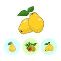 Fruit Icons, Quince, Papaya, Pear