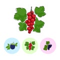 Fruit Icons, Redcurrant , Blackberry,Blackcurrant