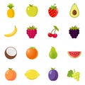 Fruits fruit icon set flat design
