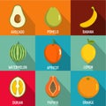 Fruit icons set, flat style Royalty Free Stock Photo