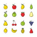 Fruit icons set flat style  image Royalty Free Stock Photo