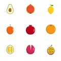 Fruit icons set, flat style Royalty Free Stock Photo