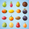 Fruit icons. Vector illustration. Royalty Free Stock Photo