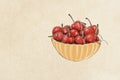 Fruit, illustration of cherries mix fruit Royalty Free Stock Photo