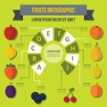 Fruit infographic concept, flat style