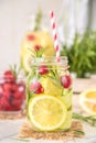 Fruit Infused Detox Water with lemon, cucumber, raspberry and rosemary Royalty Free Stock Photo