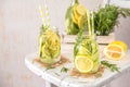 Fruit Infused Detox Water with lemon, cucumber and rosemary Royalty Free Stock Photo