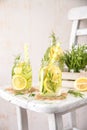 Fruit Infused Detox Water with lemon, cucumber and rosemary Royalty Free Stock Photo