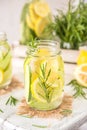 Fruit Infused Detox Water with lemon, cucumber and rosemary Royalty Free Stock Photo