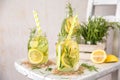 Fruit Infused Detox Water with lemon, cucumber and rosemary Royalty Free Stock Photo