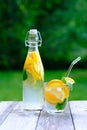 Fruit infused water, summer cocktail, detox drink with lemon, orange slices and mint in glass and bottle on rustic wooden table Royalty Free Stock Photo