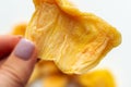 Fruit jackfruit chips in hand. Royalty Free Stock Photo