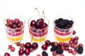 Fruit jelly or jello with panna cotta and eresh fruits and berries. Healthy food. Summer homemade dessert. Copy space