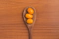 Fruit Jocote (Red Mombin, Purple Mombin, Hog Plum, Sineguela, Si