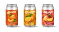 Fruit juice cans Royalty Free Stock Photo