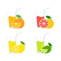 Fruit juice cocktails in glass collection. Orange, grapefruit, lemon and lime drinks set. Royalty Free Stock Photo