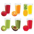 Fruit juice vector