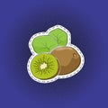 Fruit kiwifruit sticker on a pop art background