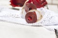 Fruit leather rolls, closeup shot Royalty Free Stock Photo