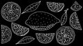 Fruit lemon hand drawing. Set of whole and slice, and quarter of lemon. White contour of fruit on black background. Vector