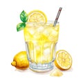 Fruit_Lemon_Infused_Water_in_Glass_Bottle2