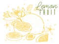 Fruit lemons hand drawn sketch. Vintage style. Color line on white background.. Vector illustration. Royalty Free Stock Photo