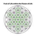 Fruit of life. flower of life. Scared Geometry Vector Design Elements. Royalty Free Stock Photo