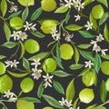 Fruit Lime Floral Seamless Pattern, Vector Citrus Fruits, Flowers, Leaves, Limes Branches Texture