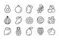 Fruit line icon isolated tropical food. Linear healthy outline apple grape cherry stroke sign vector illustration.
