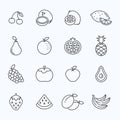 Fruit line icon set. Strawberry food vector apple orange kiwi banana stroke icon. Avocado grape watermelon pineapple Royalty Free Stock Photo