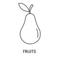 Fruit line icon in vector, pear illustration.