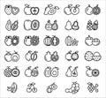 Fruit linear icon set, Vector, Illustration. Royalty Free Stock Photo
