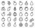 Fruit linear icon set, Vector, Illustration . Royalty Free Stock Photo