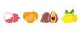 Fruit logo. Isolated fruit on white background Royalty Free Stock Photo