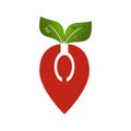 Fruit logo strawberry with leaf icon illustration minimal art