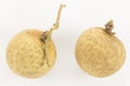 Fruit longan. fresh longan on white background Royalty Free Stock Photo