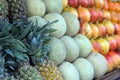 Fruit lying in rows on the counter trading, pineapples, melons, mangoes