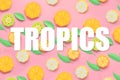 Fruit made of paper. Pink background. There`s room for writing. Tropics. Flat lay. Orange, lemon