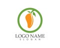 Fruit mango icon logo vector template Royalty Free Stock Photo