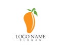 Fruit mango icon logo vector template Royalty Free Stock Photo
