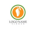 Fruit mango icon logo vector template Royalty Free Stock Photo