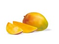 Fruit Mango realistic fruit