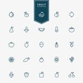 25 fruit minimal line icons