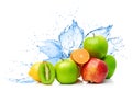 Fruit mix in water splash Royalty Free Stock Photo